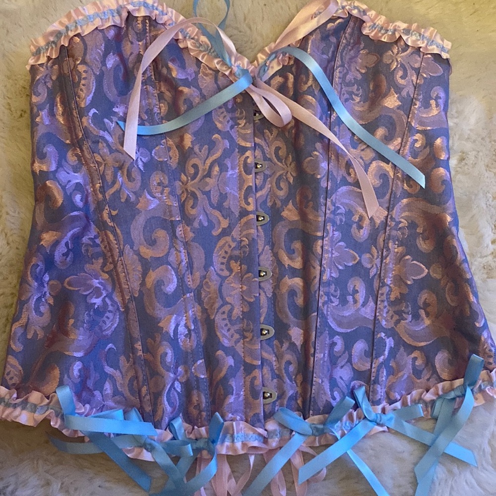 Alice in wonderland corset